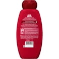thumbnail image 2 of Garnier Whole Blends Shampoo with Argan Oil & Cranberry Extracts 22 FL OZ, 2 of 10