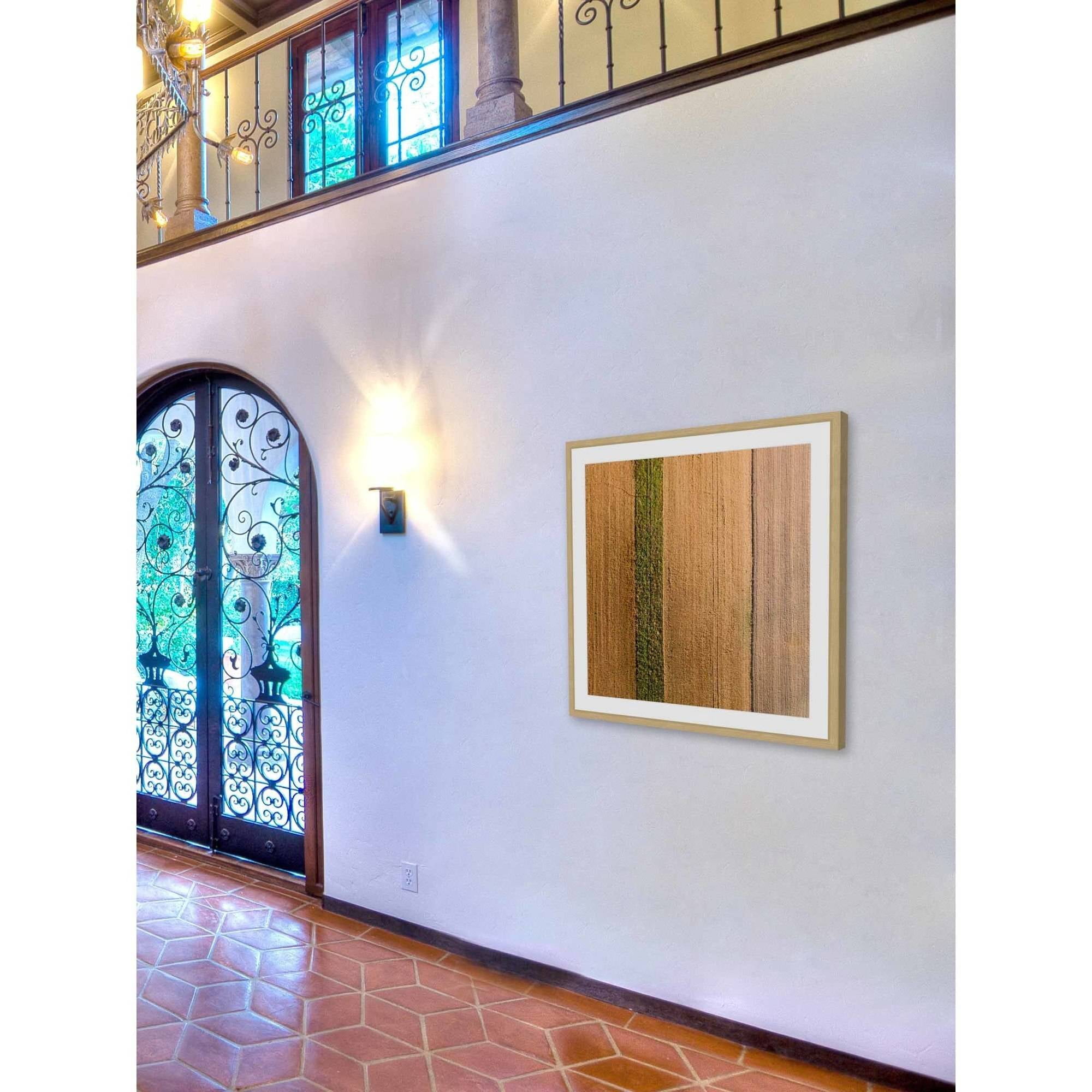 Marmont Hill "Seeded Land" by Karolis Janulis Framed Painting Print