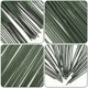 thumbnail image 5 of unbranded 50Ud Tallo De Flor Verde Artificial Para Ramos Hechos A Mano Y Interior, 5 of 6