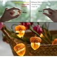 3D Acorn String Lights Indoor, 10 feet 30 LEDs 8 Modes with Remote Fall