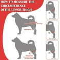 thumbnail image 3 of Rodillera para perro ANGGREK Protector de Codo para mascota Fuerte estabilidad color Negro, 3 of 7