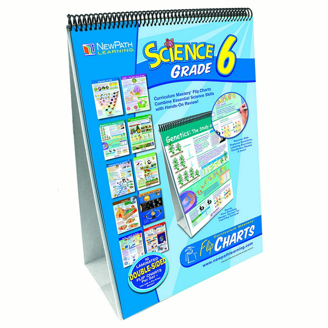 NEWPATH LEARNING SCIENCE FLIP CHART SET GR 6 - Walmart.ca
