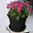 thumbnail image 4 of Bloem TR2000 20 in. Terra Pot Planter, Black, 4 of 5