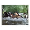 thumbnail image 2 of Royal Paint By Number Adult Lg Free Spirits, 2 of 2