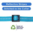 thumbnail image 4 of Pawtitas Collar reflectante para gatos con hebilla de seguridad, 4 of 5