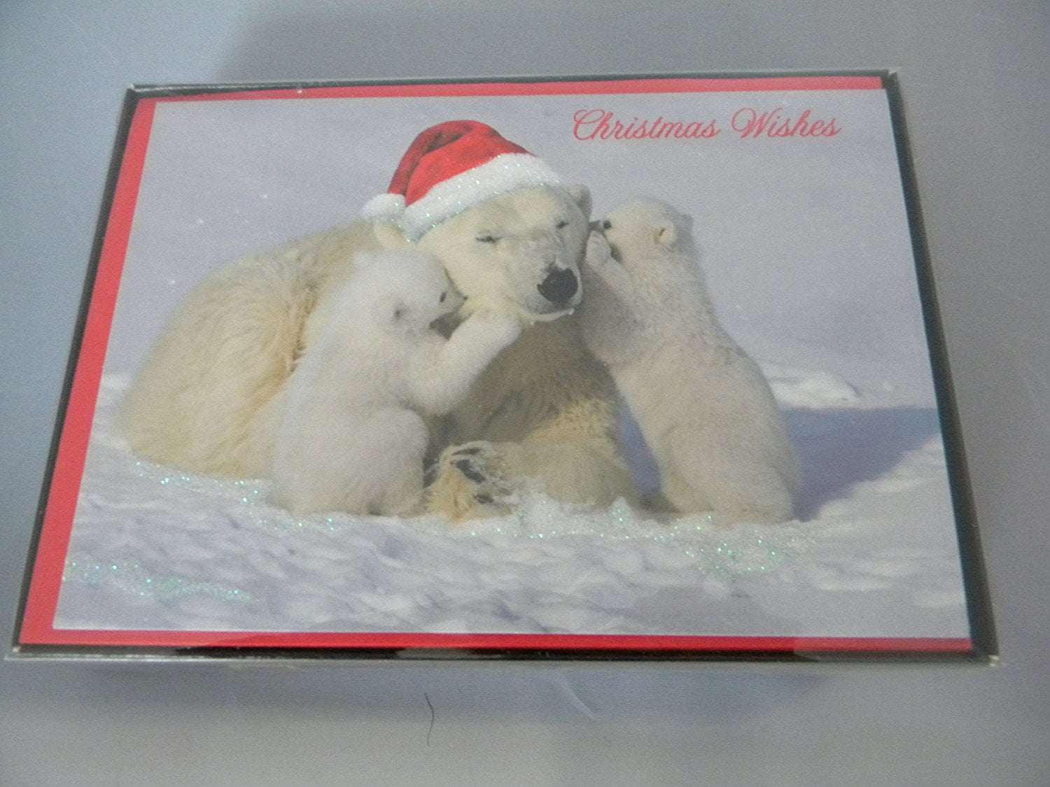 National Geographic Christmas Cards Photos Cantik