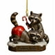 thumbnail image 2 of Ornamento Acrílico Raccoón Pendeente 2D, Acuario Christmas Ornament, Pared Christmas Décor, Colgante Navideño Acrílico, Para Salón, 8x6cm, Acrílico Transparente, Para Exterior, Colgante de Navidad,, 2 of 8