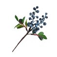thumbnail image 4 of Artificial Flower Simulation Red Berry Fake Plant Small Berries Atmosphere Wedding Home Decor Dried Flowers, 4 of 6