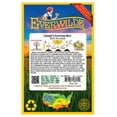 thumbnail image 2 of Everwilde Farms - 200 Crosby's Egyptian Beet Seeds - Gold Vault Jumbo Bulk Seed Packet, 2 of 5