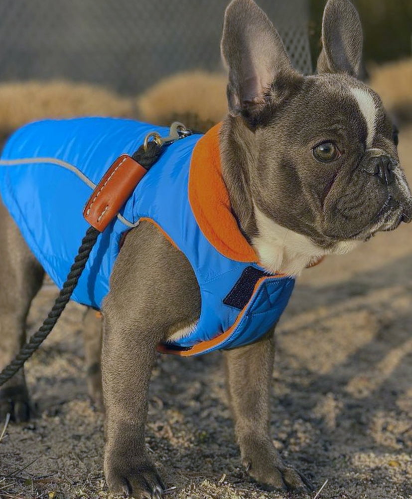 Gooby Sports Dog Vest - Blue, X-Small - Fleece Lined Dog Jacket Coat with D Ring Leash - Reflective Vest Small Dog Sweater, Hook and Loop Closure - Dog Clothes for Small Dogs Indoor and Outdoor Use