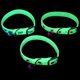 thumbnail image 4 of Fluorescent Puppy Collar with Bell, Skin Friendly Dog Neck Strap for Night Safety, Durable & Washable Glow in the Dark Pet Accessory, 4 of 4