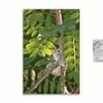 thumbnail image 2 of Gango Home Decor Hummingbird 1 by Lee Peterson (Printed on Paper); One 24x36in Fine Art Paper Giclee Print, 2 of 4