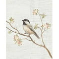 thumbnail image 2 of Nai, Danhui 15x18 Black Ornate Wood Framed with Double Matting Museum Art Print Titled - Black Capped Chickadee Vintage v2, 2 of 4