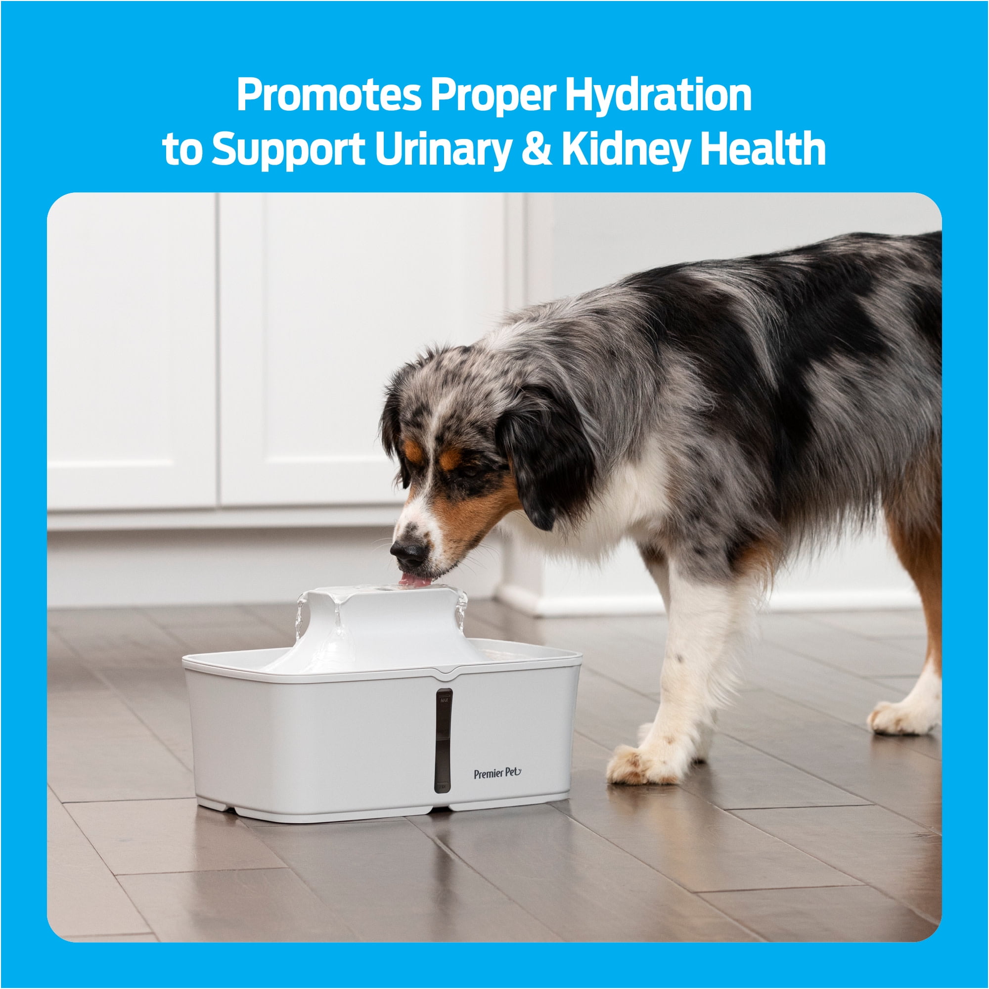 Premier Pet 128 oz. Pet Fountain, Automatic for Dogs, Cat, & Multi Pets, Filters Included, White