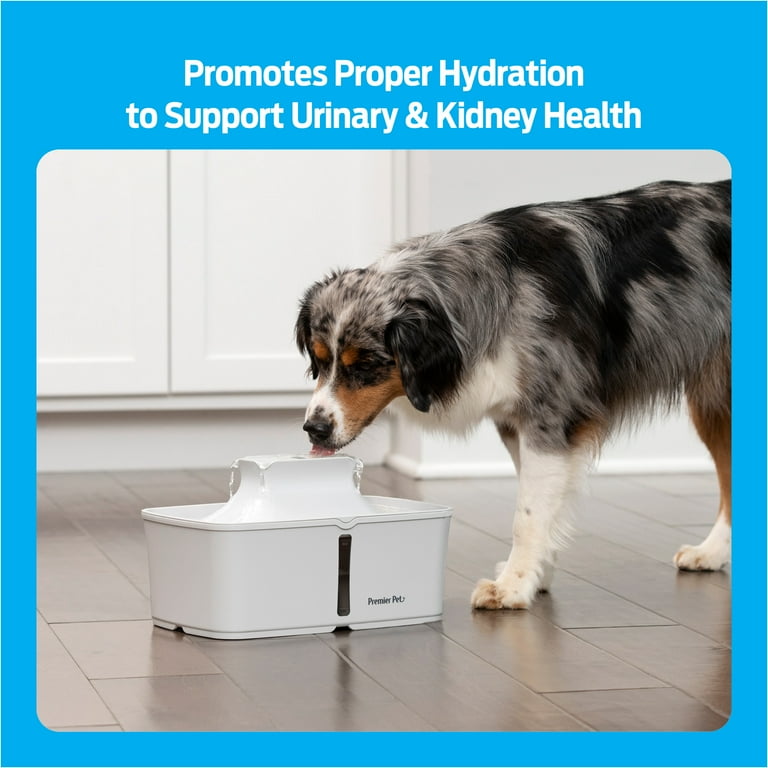 Flowing water sales bowl for dogs