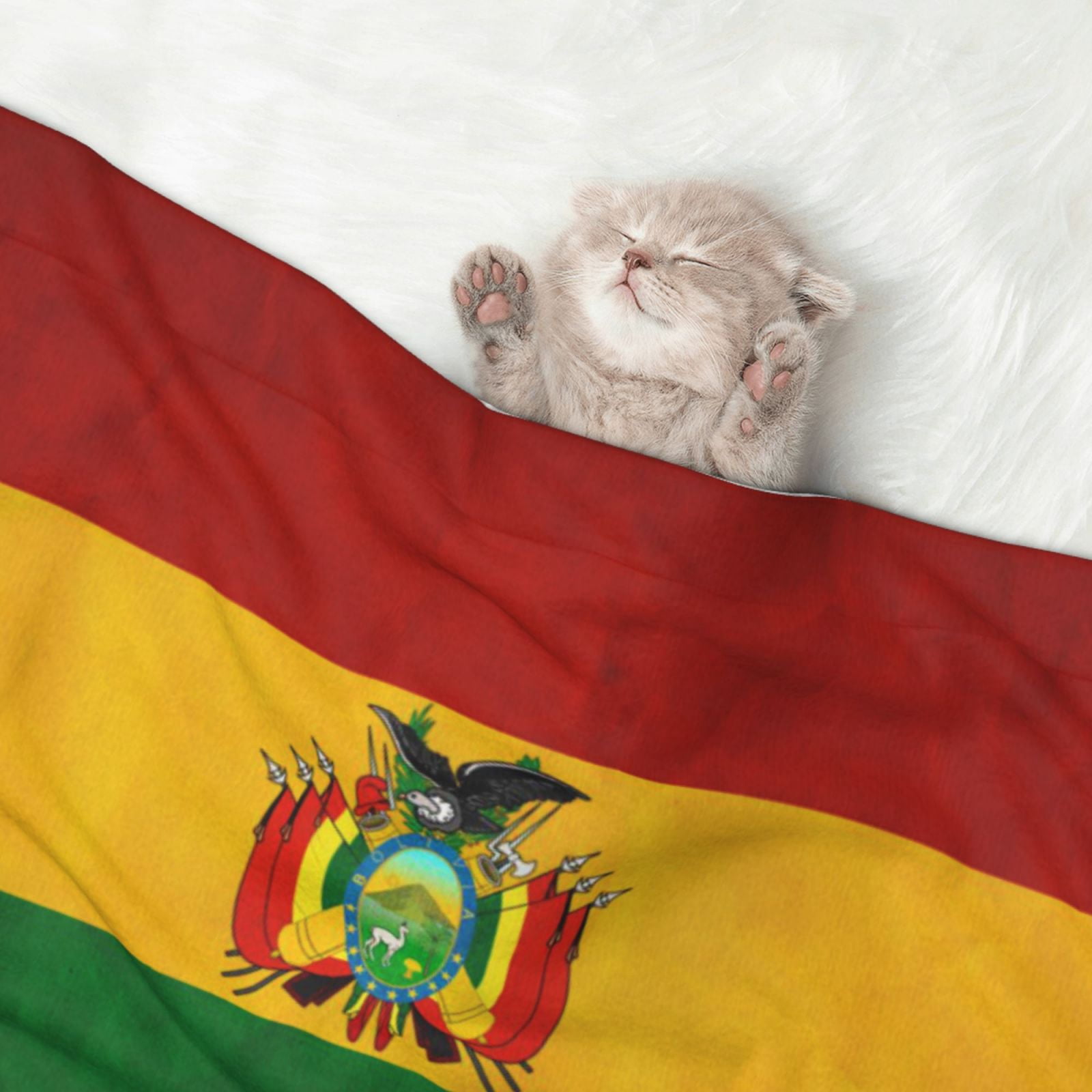 Vintage Bolivian Flag Dog Blanket Soft Warm Flannel Cat Blanket Great Pet Throw for Cats Puppy Small Medium Large Dog