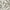 Ivory/Grey, variant on Nourison Pompeii Tropical Ivory Blue 5'3" x 7'3" Area Rug, (5x7)