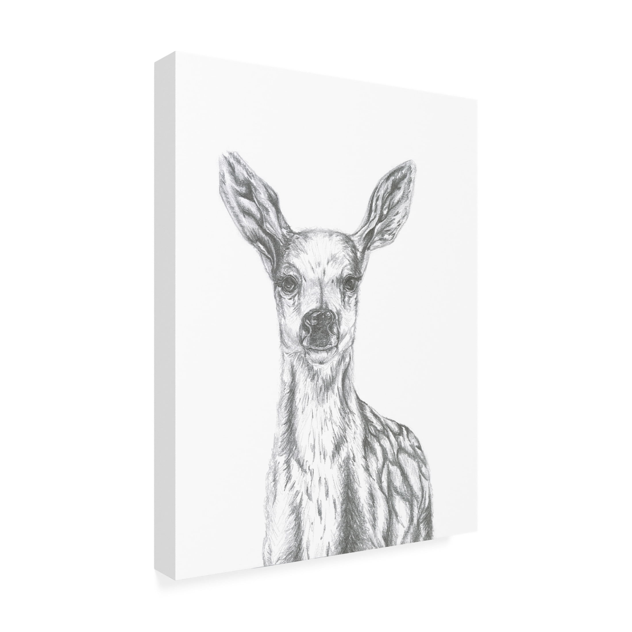 Canvas Wall Art - Lor Muller 'Deer' Wall Art for Living Room, Bedroom, or Office Décor by Trademark Fine Art - 14 x 19 Inches