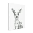 thumbnail image 4 of Canvas Wall Art - Lor Muller 'Deer' Wall Art for Living Room, Bedroom, or Office Décor by Trademark Fine Art - 35 x 47 Inches, 4 of 4
