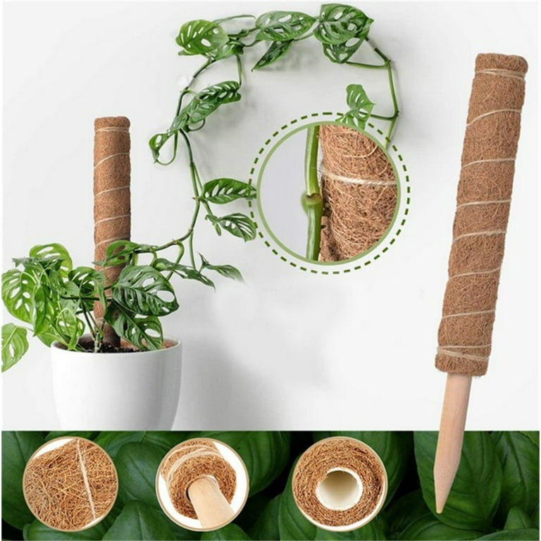 Coir Moss Pole – Al's Garden & Home