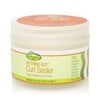 GroHealthy Nothing But Hair Curl Sealer Treatment