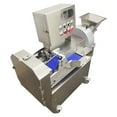 thumbnail image 3 of Techtongda Fruit and Vegetable Slicing Shredding Dicing Double Head Variable Frequency Vegetable Cutter, 3 of 13