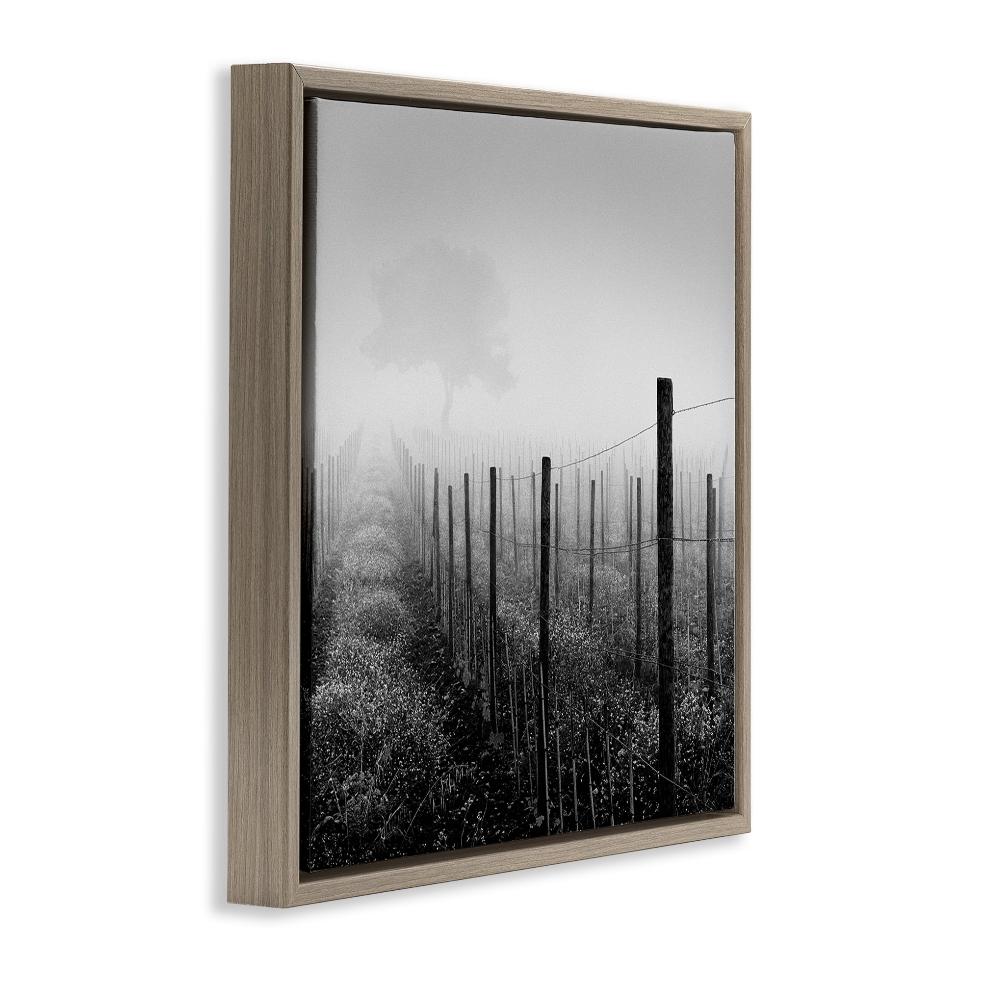 Stupell Industries Vineyard at Dawn Landscape & Nature Photography Brown Floater Framed Canvas Art Print Wall Art, 18 x 18