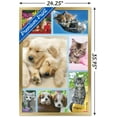 thumbnail image 3 of Keith Kimberlin - Puppies and Kittens Collage Wall Poster, 22.375" x 34", Framed, 3 of 3