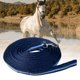 thumbnail image 1 of Durable Horse Rope Lead Dog Horse Training Leash 8 Metros Webbing Line, Lunge Leads Tracking Lead Leash para caballo, Large Medium and Small Dog, Cola Cuerda de entrenamiento de caballos, 1 of 8