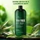 thumbnail image 3 of Gel de baño Botanic Hearth, aceite de árbol de té, 480 ml, 3 of 9