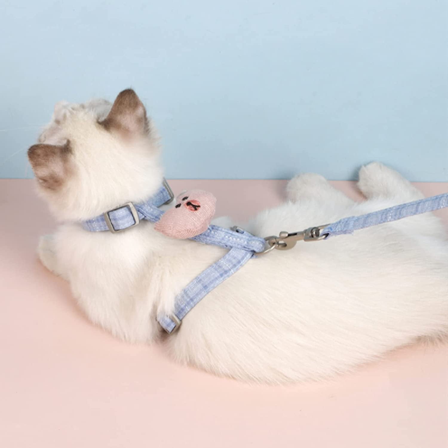 H harness cat 2025