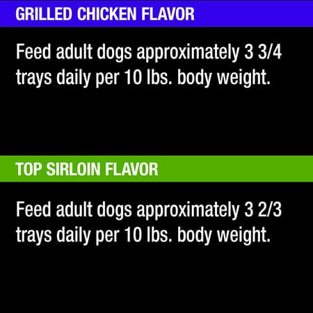 (6 pack) Cesar Loaf In Sauce Beef And Chicken Flavors Adult Wet Dog Food Variety Pack, 3.5 Oz Trays, 12 Ct.