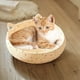 thumbnail image 5 of XWSHYW Alfombras de Baño Cama de Cuerda para Perros y Gatos 25 Cm, Universal para Todas Las Estaciones, Cama para Dormir para Perros y Gatos Que Puede Afilar Las Garras, 5 of 6