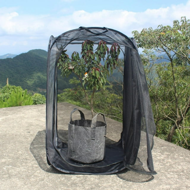 Light Transmission Cage,Black Collapsible Foldable Ventilated Insect Cage Ventilated Insect Cage Seamless Integration