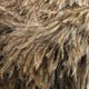 thumbnail image 3 of 13inch Ostrich Feather Duster Durable Dust Collecting Cleaning Tool In Wool Shop, 3 of 4