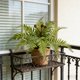 thumbnail image 1 of CaiYueKe Artificial Boston Fern Plants Bushes Fake Shrubs Bush Greenery Plants Faux Fern Plant for Outdoors UV Resistant Garden Plants or Home Office Desk Indoor Decor, 1 of 7
