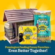 Pennington Feeding Frenzy Finch Favorite, Wild Bird Seed Mix, Bird Food, 10 lb