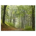 thumbnail image 2 of Sentier Forestier de Plage Verte - Impression d'Art Photo Paysage sur Toile, 2 of 3