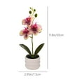 thumbnail image 3 of Kraoden Faux Phalaenopsis Orchid, Realistic Artificial Flower Arrangement, Potted Decor for Wedding Photography and Home Decoration, Maintenance-Free, 3 of 9