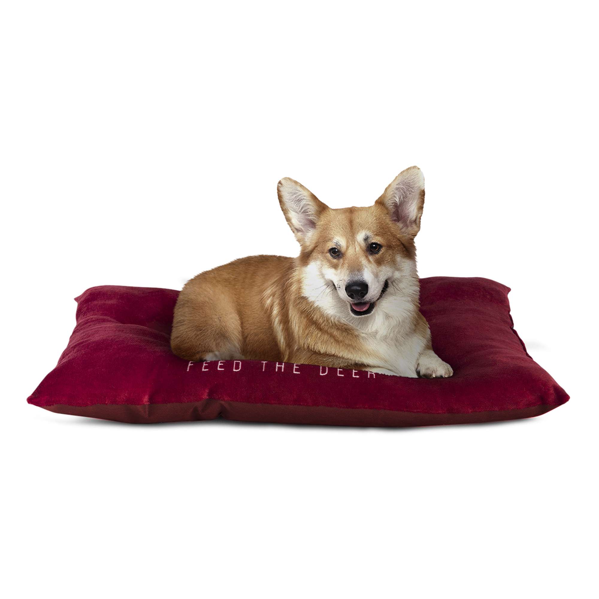 (2 pack) Vibrant Life Dog Bed, Plush Tufted Deer Print, Medium
