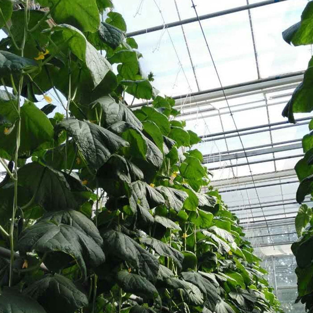 OULII 2Sets White Overhead J Hooks for Tomato Plant Growth Traction Rope and Vertical Garden Support