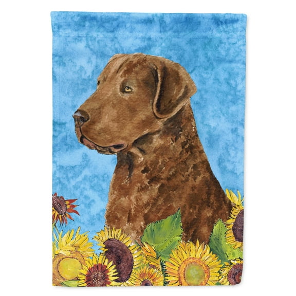 Carolines Treasures SS4165-FLAG-PARENT Curly Coated Retriever Flag multicolor