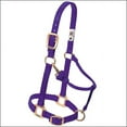 thumbnail image 2 of Weaver Leather Adjustable Nylon Foal & Arabian Halter - 3/4" Width Purple / Arabian, 2 of 2