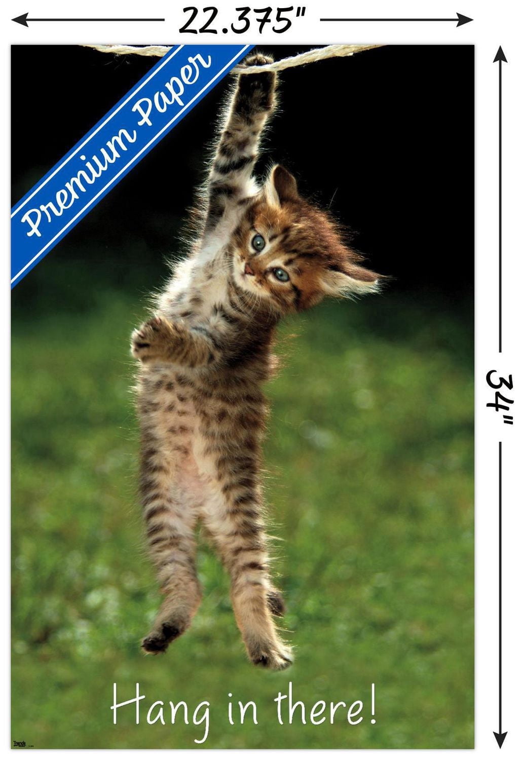 Célèbre chaton accroché là-bas Poster