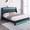 Black, variant on Holiway Queen Size LED Bed Frame with Upholstered Headboard, Wingback PU Leather Headboard with Charging Station, Diamond Tufting, Black
