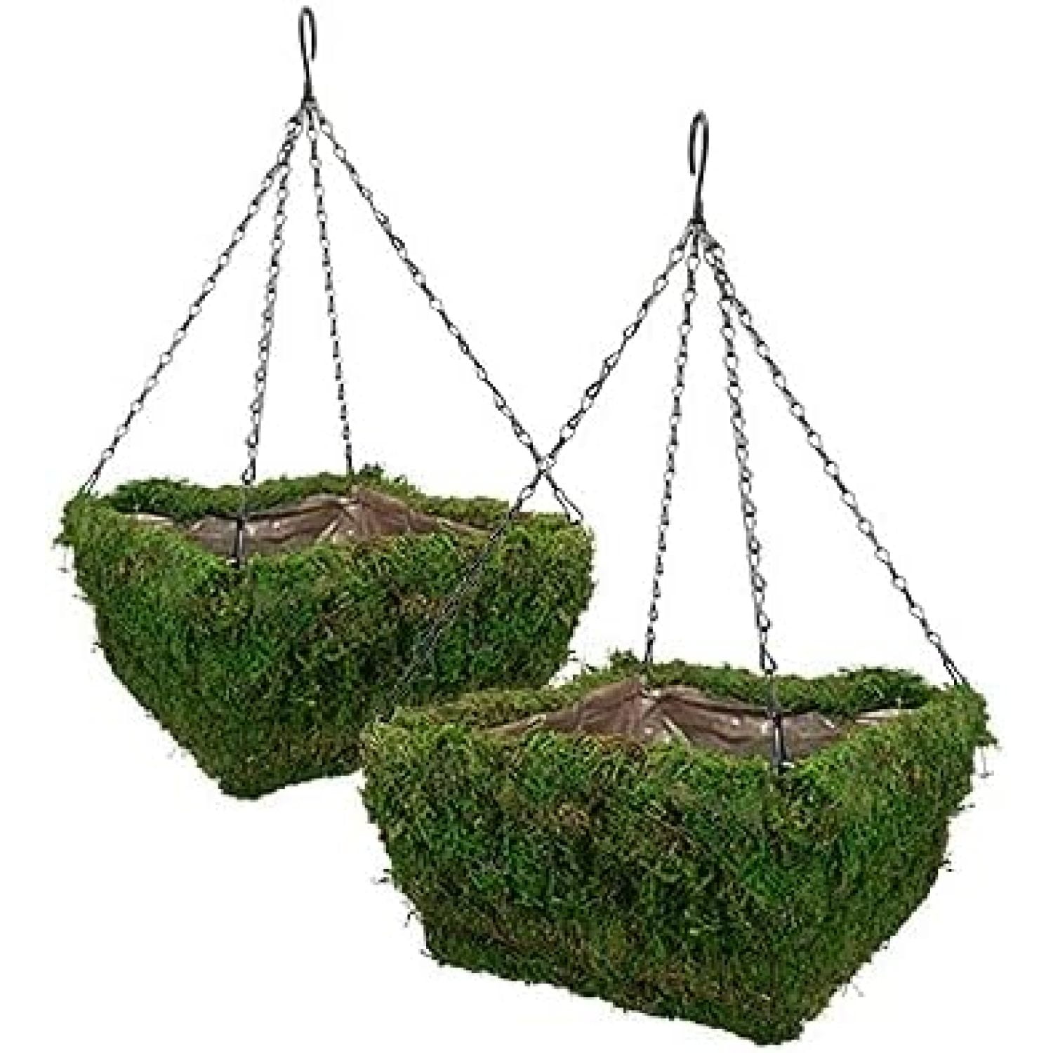 HElectQRIN 83557 Natural Moss Square Hanging Baskets, Green, 14"L, Pack
