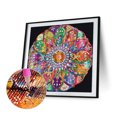 thumbnail image 2 of Diamond Painting 5D DIY Kit de taladro en forma especial parcial Datura Home Decor(3) Hugtrwg Para estrenar, 2 of 9