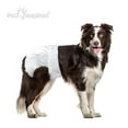 Paw Inspired Female Dog Diapers Disposable Doggie Puppy Pet Cat