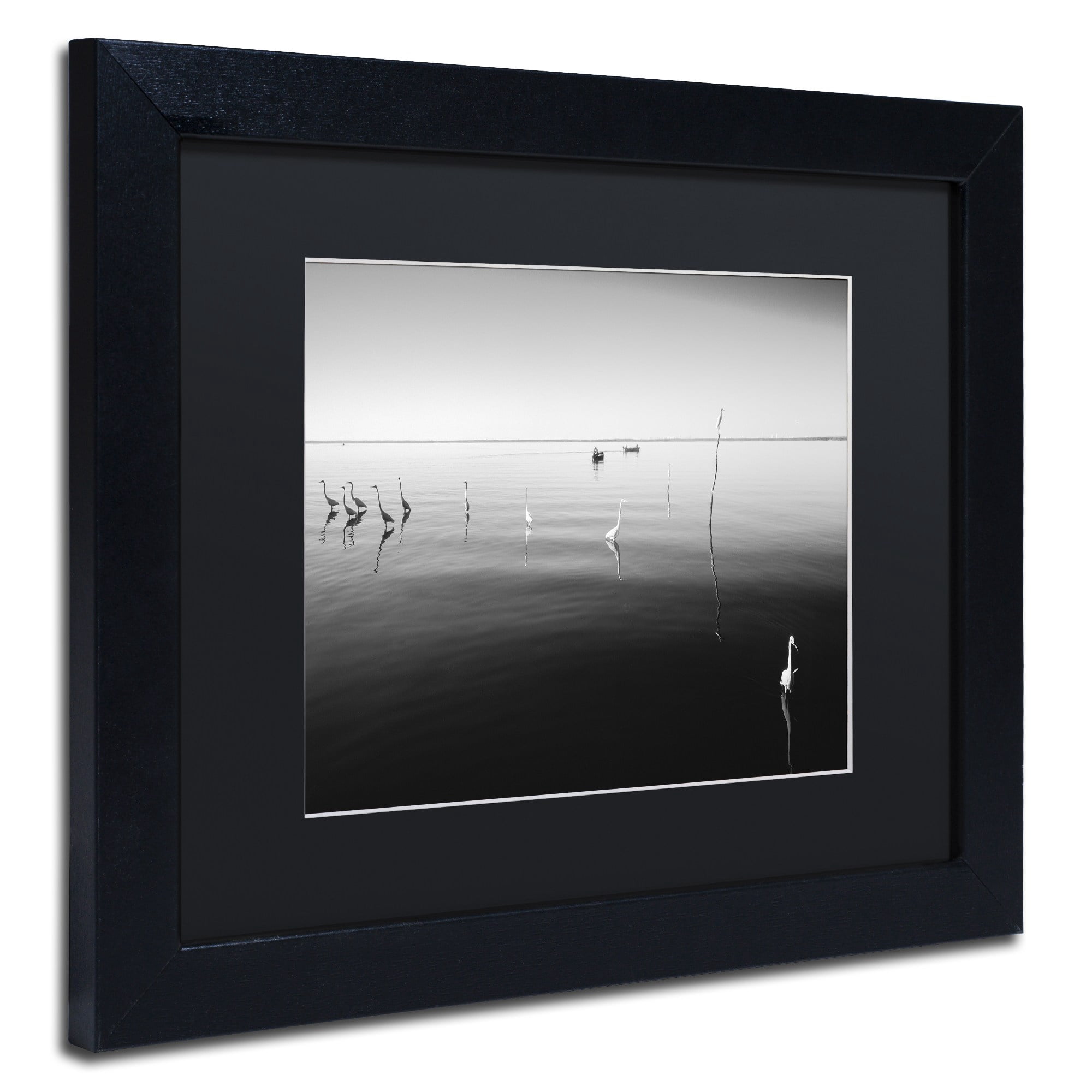 Trademark Fine Art "11 Herons" Canvas Art by Moises Levy Black Matte, Black Frame