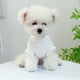 thumbnail image 4 of Camiseta de otoño-invierno para mascotas - Tejido suave - Cuello redondo para perros/gatos - Cálida y cómoda para llevar en interiores/exteriores, 4 of 7
